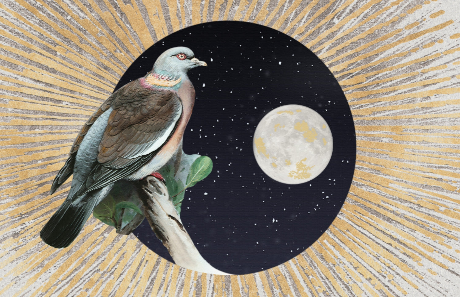 Bird&moon