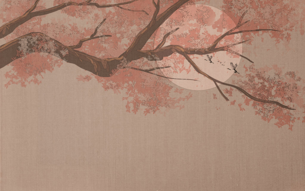 Under Cherry Blossom